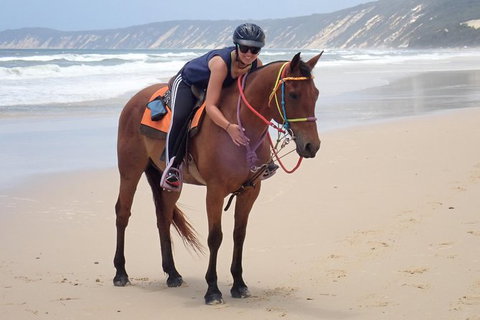 Rainbow Beach Horse Ride - Redcliffe Tourism 2