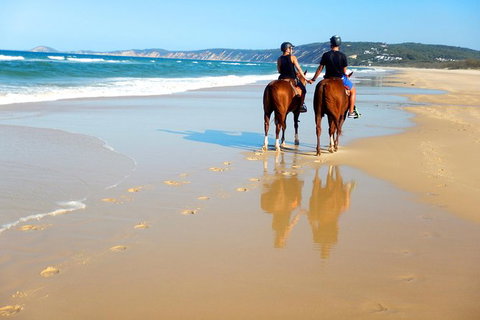 Rainbow Beach Horse Ride - Redcliffe Tourism 3
