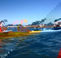 Port Douglas Half-Day Kayak Tour - Redcliffe Tourism