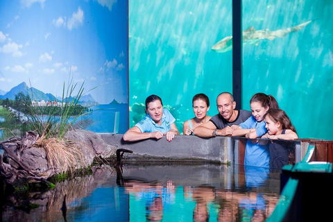 Reef HQ Great Barrier Reef Aquarium General Entry Ticket - Redcliffe Tourism 0