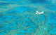 Scenic Flight - Great Barrier Reef, Heart Reef, Whitehaven Beach & Hill Inlet! - thumb 0