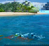 Wavedancer Low Isles Great Barrier Reef Sailing Cruise from Port Douglas - Redcliffe Tourism