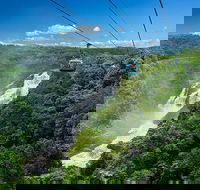 Skyrail Rainforest Cableway Day Trip from Port Douglas - Redcliffe Tourism