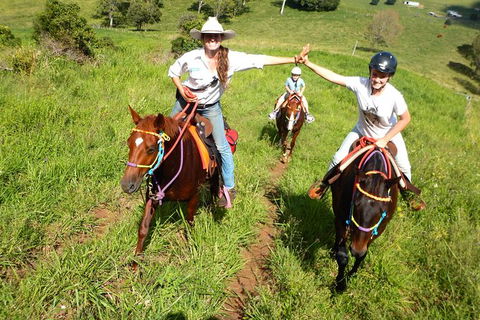 Country Day Ride From Mt Goomboorian With Rainbow Beach Horse Rides - Redcliffe Tourism 0