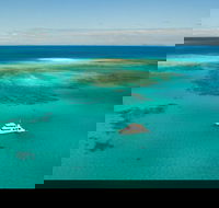 Great Barrier Reef Dive and Snorkel Cruise from Mission Beach - Redcliffe Tourism