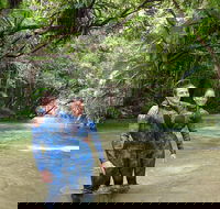 Mossman River Drift Snorkelling from Port Douglas or Mossman - Redcliffe Tourism