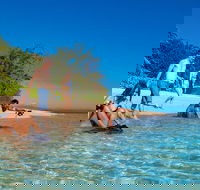 Half Day Low Isles Snorkelling Tour from Port Douglas - Redcliffe Tourism