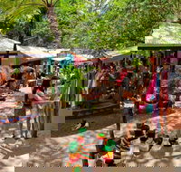 Kuranda Day Trip small group from Port Douglas by bus - Redcliffe Tourism