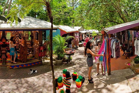 Kuranda Day Trip Small Group From Port Douglas By Bus - Redcliffe Tourism 2