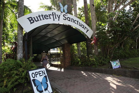 Kuranda Day Trip Small Group From Port Douglas By Bus - Redcliffe Tourism 6