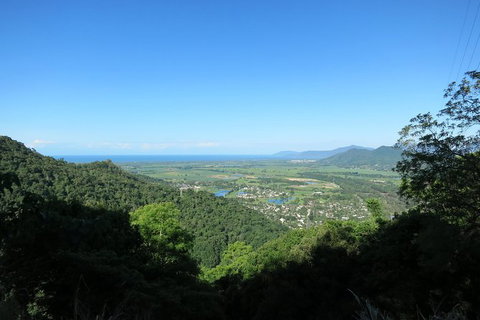 Kuranda Day Trip Small Group From Port Douglas By Bus - Redcliffe Tourism 4