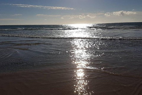 Land Based Game Fishing - Redcliffe Tourism 0