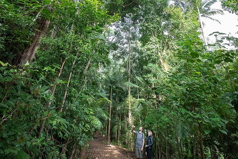 Whitsundays Tropical Rainforest, Waterfalls And Airlie Beach Eco Experience - Redcliffe Tourism 1