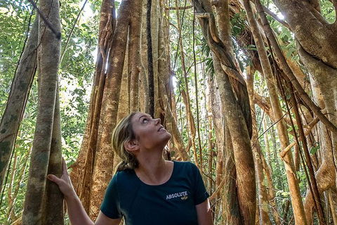 Whitsundays Tropical Rainforest, Waterfalls And Airlie Beach Eco Experience - Redcliffe Tourism 14