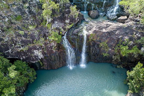 Whitsundays Tropical Rainforest, Waterfalls And Airlie Beach Eco Experience - Redcliffe Tourism 13