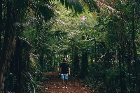 Whitsundays Tropical Rainforest, Waterfalls And Airlie Beach Eco Experience - Redcliffe Tourism 5