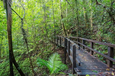 Whitsundays Tropical Rainforest, Waterfalls And Airlie Beach Eco Experience - Redcliffe Tourism 3