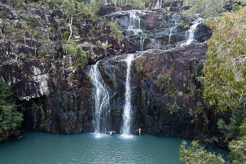 Whitsundays Tropical Rainforest, Waterfalls And Airlie Beach Eco Experience - Redcliffe Tourism 9