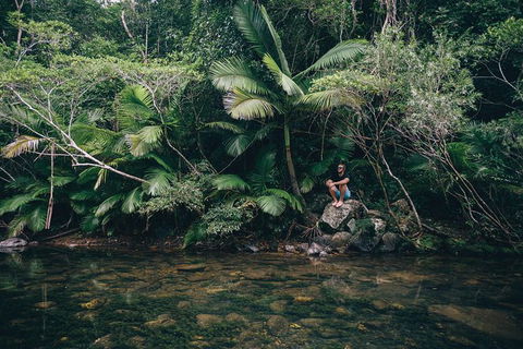 Whitsundays Tropical Rainforest, Waterfalls And Airlie Beach Eco Experience - Redcliffe Tourism 2