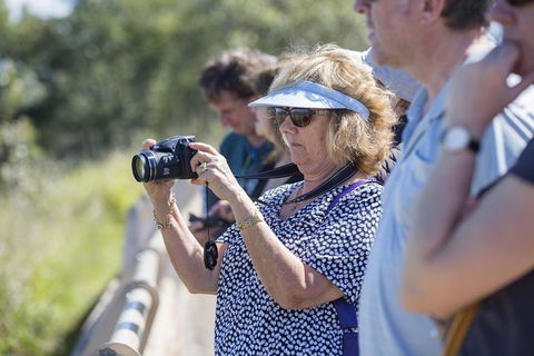 Townsville City Sightseeing Tour - Redcliffe Tourism 1
