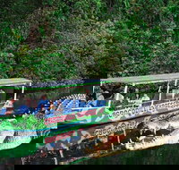 Daintree River Cruise - Redcliffe Tourism