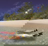 Wavedancer Low Isles Great Barrier Reef Sailing Cruise from Palm Cove - Redcliffe Tourism