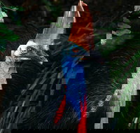 Wildlife Habitat Port Douglas - Redcliffe Tourism