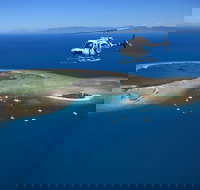 Scenic Reef  Rainforest Helicopter Flight from Port Douglas - Redcliffe Tourism