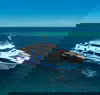 AquaQuest Great Barrier Reef Diving and Snorkeling Cruise from Port Douglas - Redcliffe Tourism