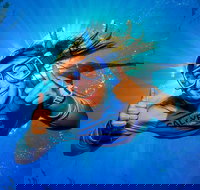 Calypso Outer Great Barrier Reef Cruise from Port Douglas - Redcliffe Tourism