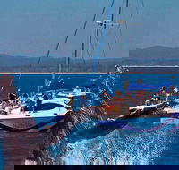 Blue Dolphin Exclusive Whale Watch Encounters - Redcliffe Tourism