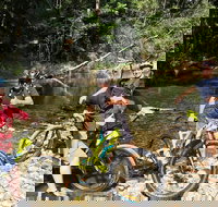 Electric Mountain Bike Rainforest Eco Tour - Redcliffe Tourism