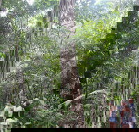 Sightseeing Tour - Half Day - Redcliffe Tourism