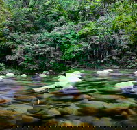 Mossman Silky Oaks to/from Cairns - Redcliffe Tourism