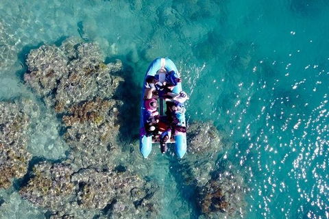 Glass-bottom Boat Tour With Whitehaven Beach - Redcliffe Tourism 0