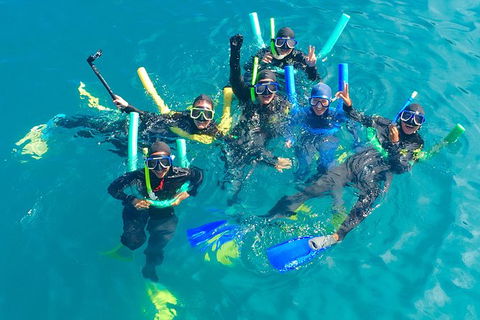Glass-bottom Boat Tour With Whitehaven Beach - Redcliffe Tourism 1