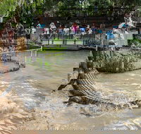 Hartley's Crocodile Adventures General Entry Ticket - Redcliffe Tourism