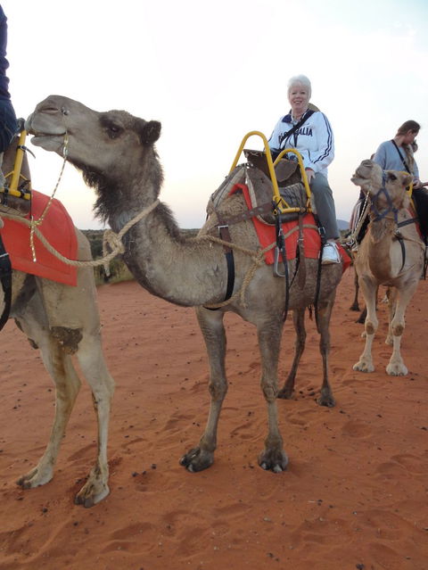 Uluru Small-Group Tour By Camel At Sunrise Or Sunset - Redcliffe Tourism 2