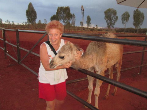 Uluru Small-Group Tour By Camel At Sunrise Or Sunset - Redcliffe Tourism 18