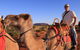 Uluru Small-Group Tour By Camel At Sunrise Or Sunset - thumb 4