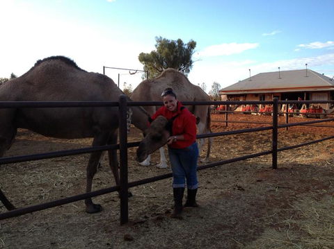 Uluru Small-Group Tour By Camel At Sunrise Or Sunset - Redcliffe Tourism 21