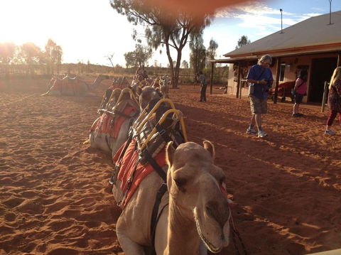 Uluru Small-Group Tour By Camel At Sunrise Or Sunset - Redcliffe Tourism 22