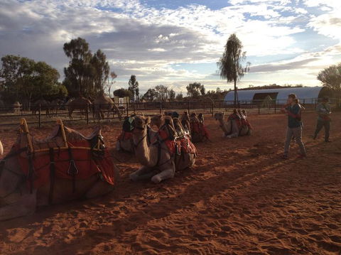 Uluru Small-Group Tour By Camel At Sunrise Or Sunset - Redcliffe Tourism 23