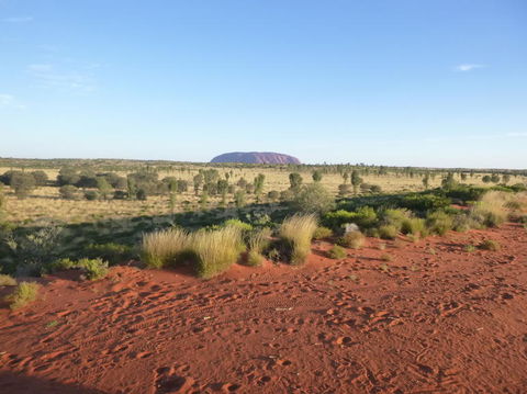 Uluru Small-Group Tour By Camel At Sunrise Or Sunset - Redcliffe Tourism 9