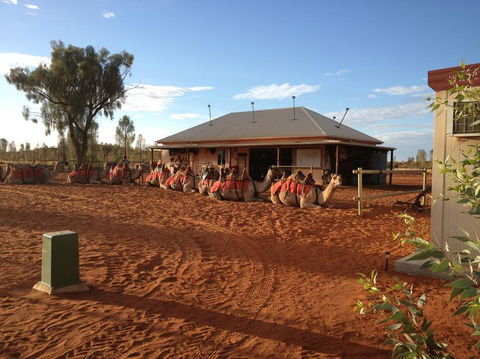 Uluru Small-Group Tour By Camel At Sunrise Or Sunset - Redcliffe Tourism 19