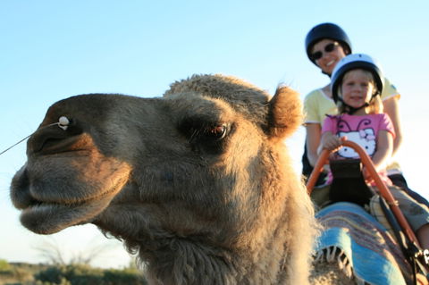 Uluru Small-Group Tour By Camel At Sunrise Or Sunset - Redcliffe Tourism 3