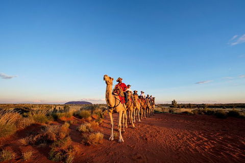 Uluru Small-Group Tour By Camel At Sunrise Or Sunset - Redcliffe Tourism 26