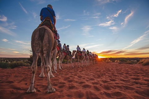 Uluru Small-Group Tour By Camel At Sunrise Or Sunset - Redcliffe Tourism 28