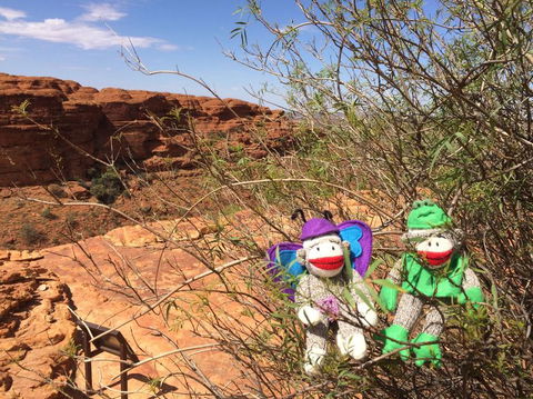 Kings Canyon Day Trip From Ayers Rock - Redcliffe Tourism 23