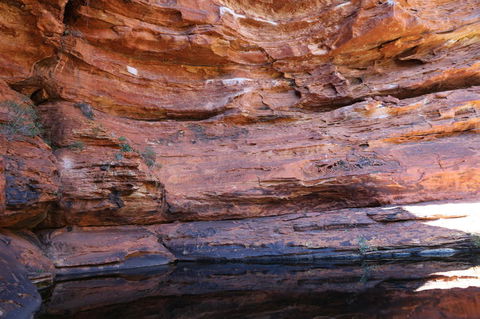 Kings Canyon Day Trip From Ayers Rock - Redcliffe Tourism 16